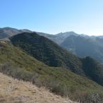 Cambria_2015_0324 (November 08, 2015)